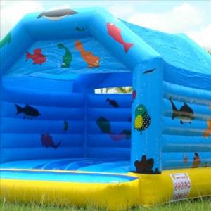 Aqua Bouncy Castle 3.5*3.5*3.0 M